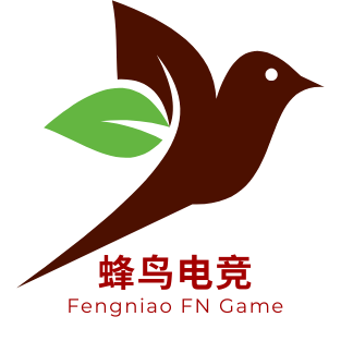 fn 蜂鸟电竞